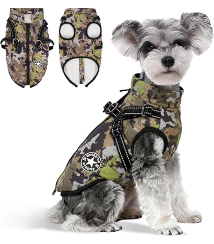 Amazon | [citydog/シティドッグ] バッティングベスト ｜ 犬 ウェア 服